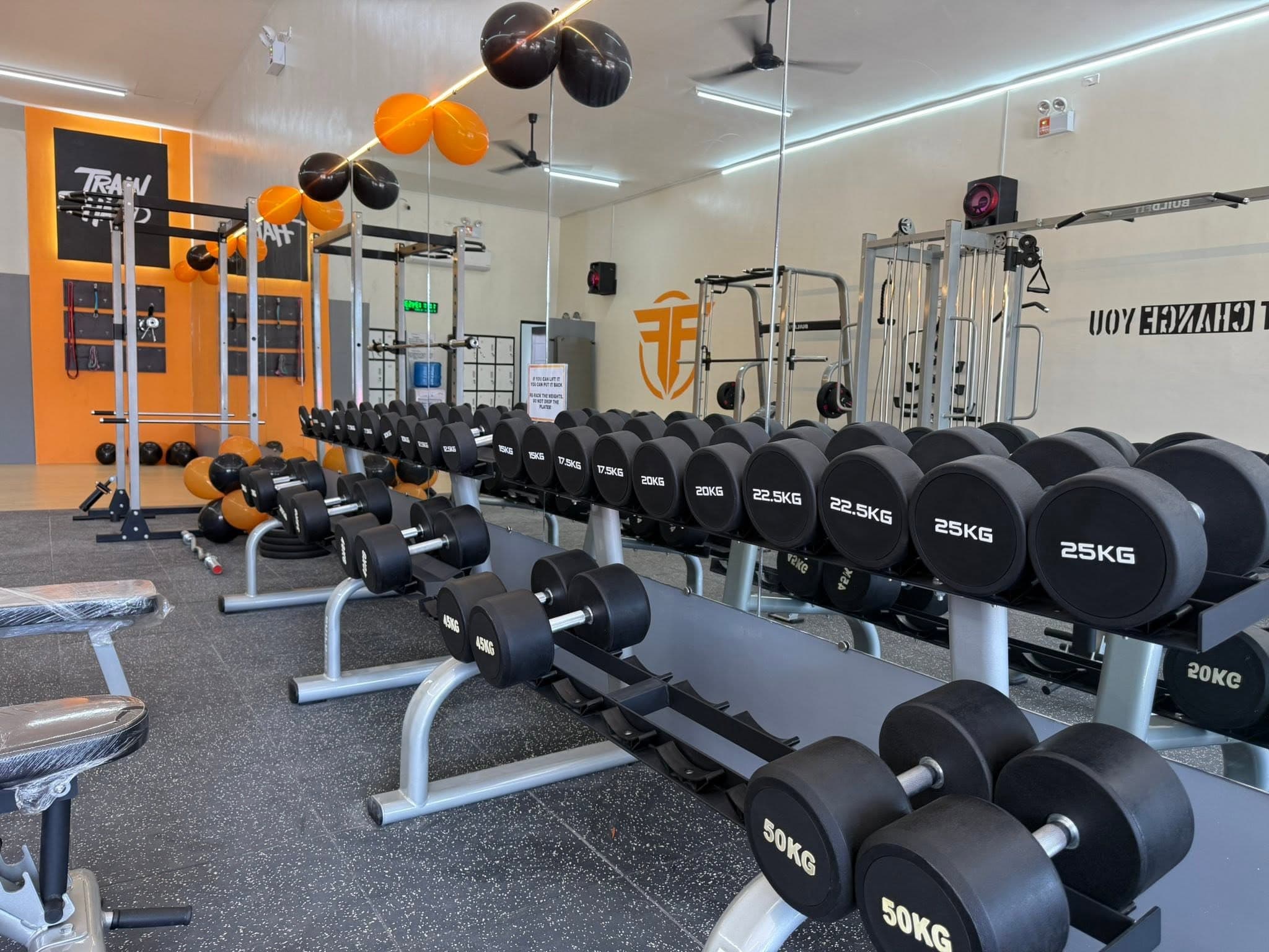 Full dumbbell rack — 5 kg to 50 kg set